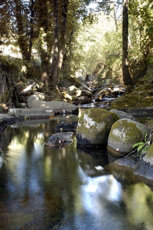 Casa Rural Arbequina Despierta Tus Sentidos En El Valle Del Ambroz Casas del Monte Стая снимка